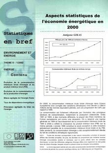 Aspects statistiques de l'économie énergétique en 2000