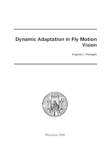 Dynamic adaptation in fly motion vision [Elektronische Ressource] / vorgelegt von Virginia L. Flanagin