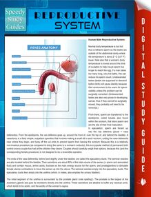 Reproductive System (Speedy Study Guides)