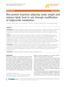 Rice protein improves adiposity, body weight and reduces lipids level in rats through modification of triglyceride metabolism