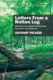 Letters From a Rotten Log