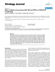 Effect of Ebola virus proteins GP, NP and VP35 on VP40 VLP morphology