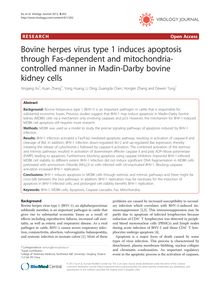 Bovine herpes virus type 1 induces apoptosis through Fas-dependent and mitochondria-controlled manner in Madin-Darby bovine kidney cells