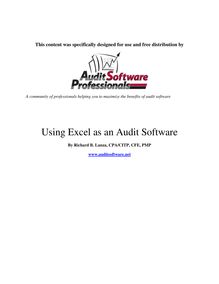 Using Excel as an Audit Software