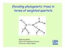 Encoding phylogenetic trees interms of weighted quartets Katharina Huber