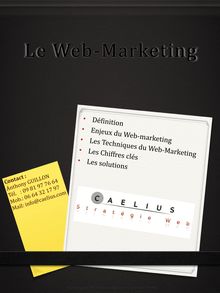 Le Web-Marketing
