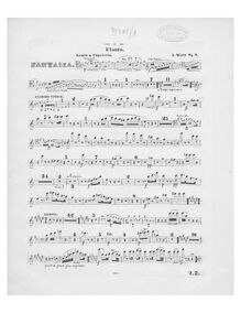 Partition flûte, Fantaisie, Fantaisie pour violoncello avec orchestre ou piano