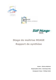 rapport de stage (PDF - 315Ko) - rapport de stage