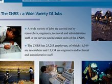 The CNRS a Wide Variety Of Jobs