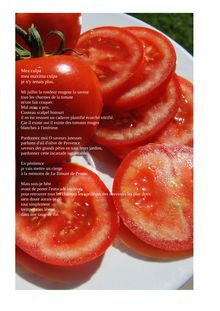 La tomate (selon Marcel Proust)