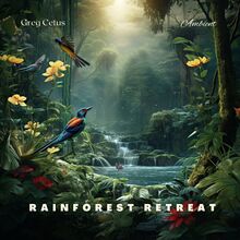Rainforest Retreat: Sparse Birdsong with Soothing Rain, Perfect for Meditation and Relaxation