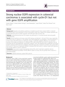 Strong nuclear EGFR expression in colorectal carcinomas is associated with cyclin-D1 but not with gene EGFR amplification