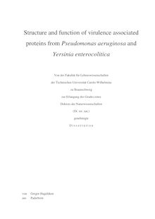 Structure and function of virulence associated proteins from Pseudomonas aeruginosa and Yersinia enterocolitica [Elektronische Ressource] / von Gregor Hagelüken