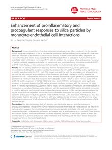 Enhancement of proinflammatory and procoagulant responses to silica particles by monocyte-endothelial cell interactions