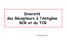 L3 Bio32 2010 FF2 Diversité - Diapositive 1