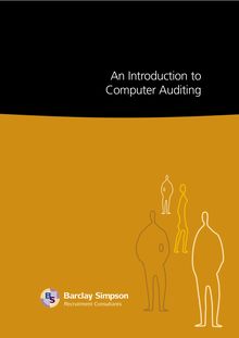 Introduction to Computer Audit