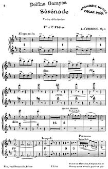 Partition flûte 1, 2, Sérénade pour Violon, Op.4, Serenade for Violin and Orchestra