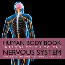 Human Body Book | Introduction to the Nervous System | Children s Anatomy & Physiology Edition