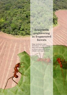 Ecosystem engineering in fragmented forests [Elektronische Ressource] : edge-mediated hyper-abundance of leaf-cutting ants and resulting impacts on forest structure, microclimate and regeneration / vorgelegt von Sebastian Tobias Meyer