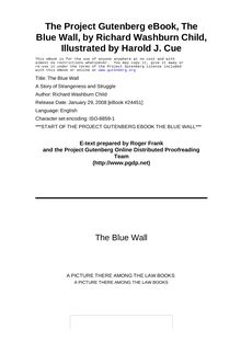 The Blue Wall - A Story of Strangeness and Struggle