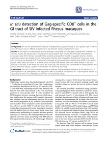 In situdetection of Gag-specific CD8+cells in the GI tract of SIV infected Rhesus macaques
