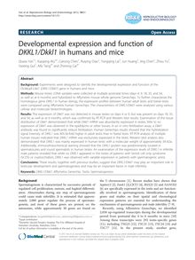 Developmental expression and function of DKKL1/Dkkl1 in humans and mice