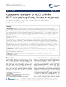 Cooperative interaction of MUC1 with the HGF/c-Met pathway during hepatocarcinogenesis