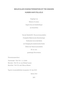Molecular characterization of the anagen human hair follicle [Elektronische Ressource] / vorgelegt von Angela Ariza de Schellenberger