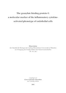 The guanylate binding protein-1 [Elektronische Ressource] : a molecular marker of the inflammatory cytokine-activated phenotype of endothelial cells / vorgelegt von Clara Lubeseder-Martellato