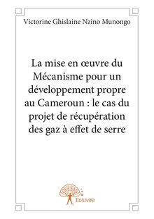 La mise en œuvre du Mécanisme pour un développement propre au Cameroun : le cas du projet de récupération des gaz à effet de serre