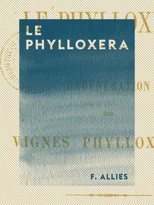 Le Phylloxera - Régénération des vignes phylloxérées