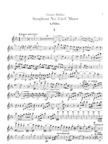 Partition flûte 1, 2, 3, 4 (all double piccolo), Offstage orchestre score, Symphony No.2