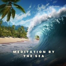 Meditation by the Sea: Relaxing Ocean Soundscape