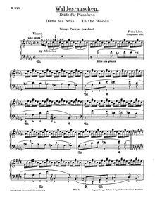 Partition complète, 2 Konzertetüden, 2 Concert-Studies, Liszt, Franz par Franz Liszt