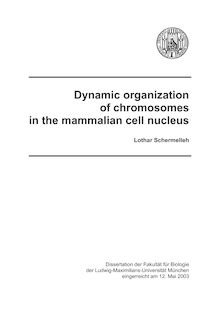 Dynamic organization of chromosomes in the mammalian cell nucleus [Elektronische Ressource] / Lothar Schermelleh