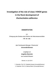 Investigation of the role of class I KNOX genes in the floral development of Eschscholzia californica [Elektronische Ressource] / vorgelegt von Angelika Stammler