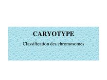Caryotypechromosomes