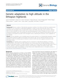 Genetic adaptation to high altitude in the Ethiopian highlands