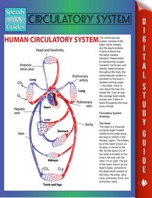 Circulatory System (Speedy Study Guides)