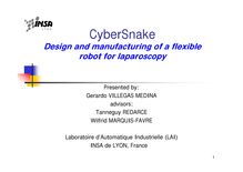 1CyberSnake Design and manufacturing of a flexible
