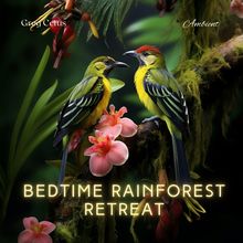 Bedtime Rainforest Retreat: Mindful Birdsong and Light Rain