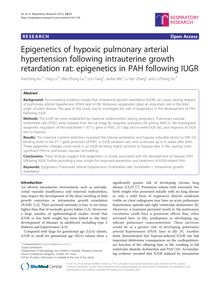 Epigenetics of hypoxic pulmonary arterial hypertension following intrauterine growth retardation rat: epigenetics in PAH following IUGR