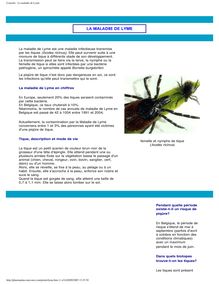 Conseils - La maladie de Lyme