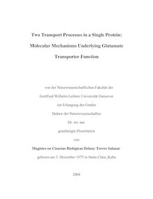 Two transport processes in a single protein [Elektronische Ressource] : molecular mechanisms underlying glutamate transporter function / von Delany Torres Salazar